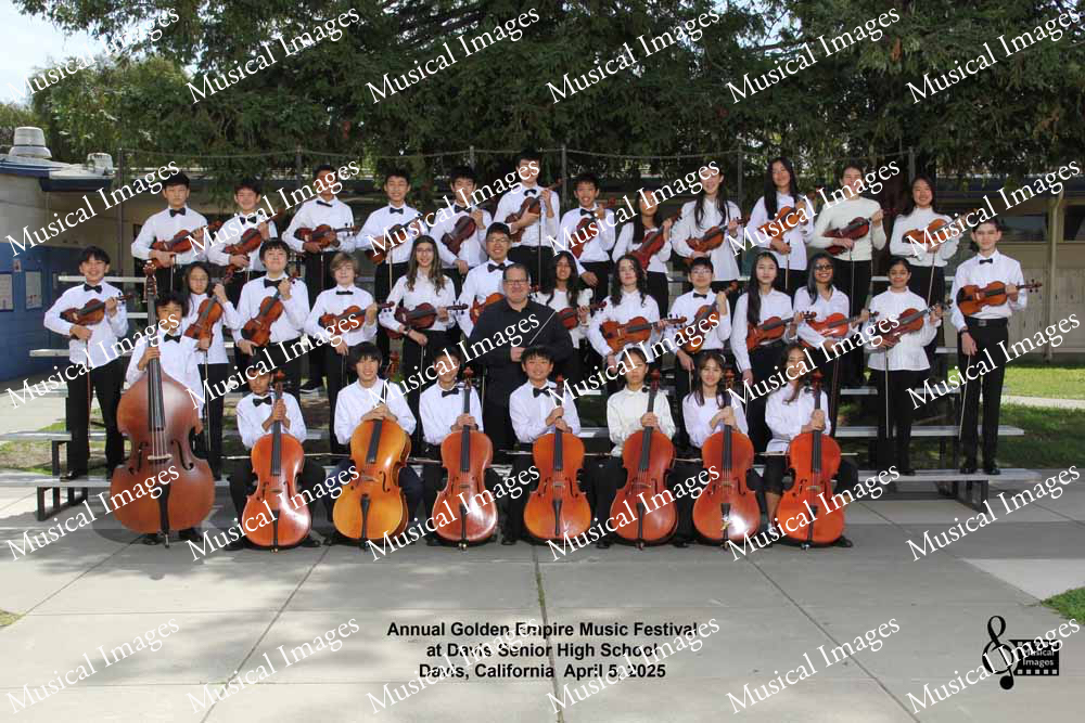Musical Images